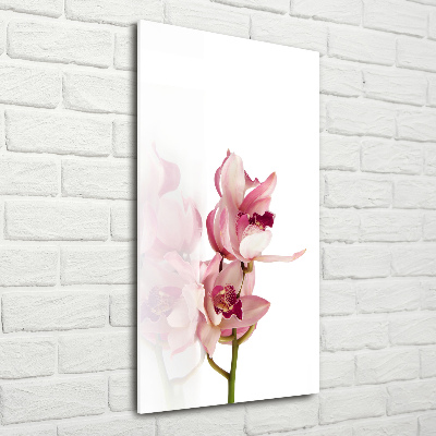 Tableau imprimé sur verre Orchidée rose