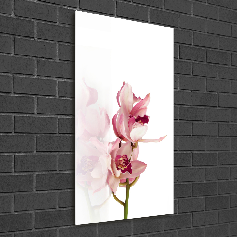 Tableau imprimé sur verre Orchidée rose