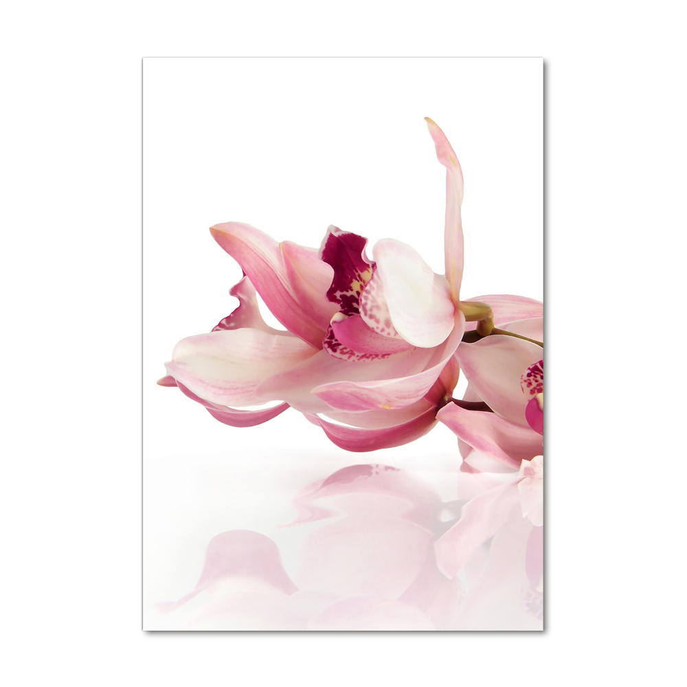 Tableau imprimé sur verre Orchidée rose