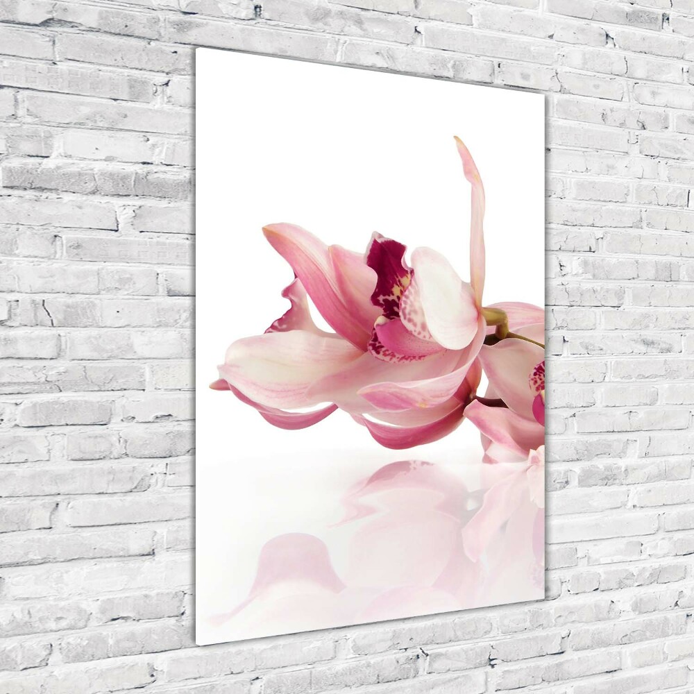 Tableau imprimé sur verre Orchidée rose