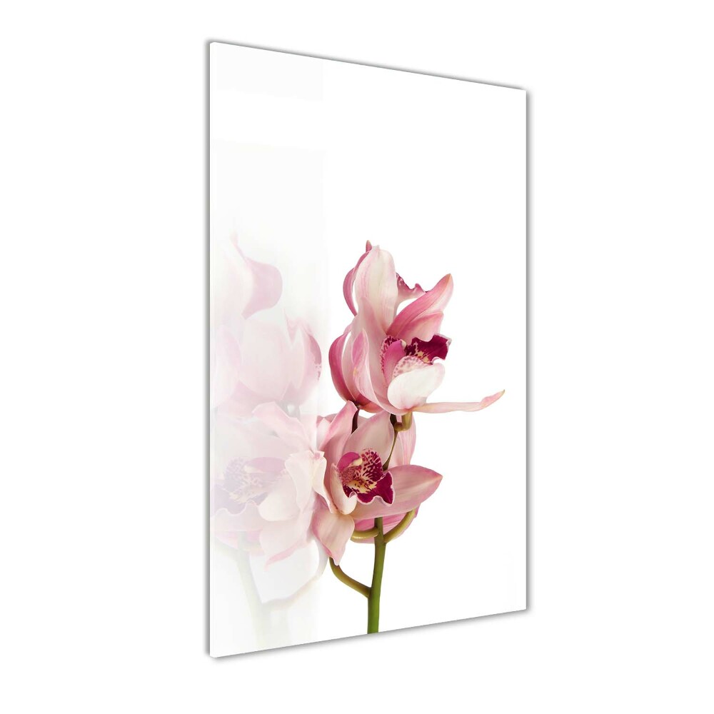 Tableau imprimé sur verre Orchidée rose