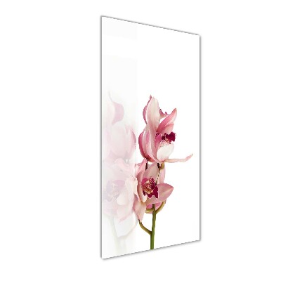 Tableau imprimé sur verre Orchidée rose