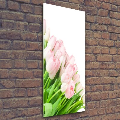 Tableau photo sur verre Tulipes roses