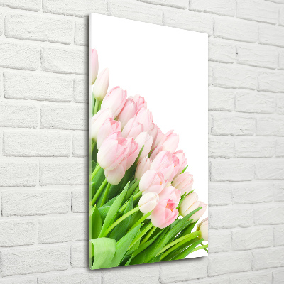 Tableau photo sur verre Tulipes roses