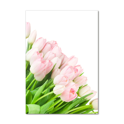 Tableau photo sur verre Tulipes roses