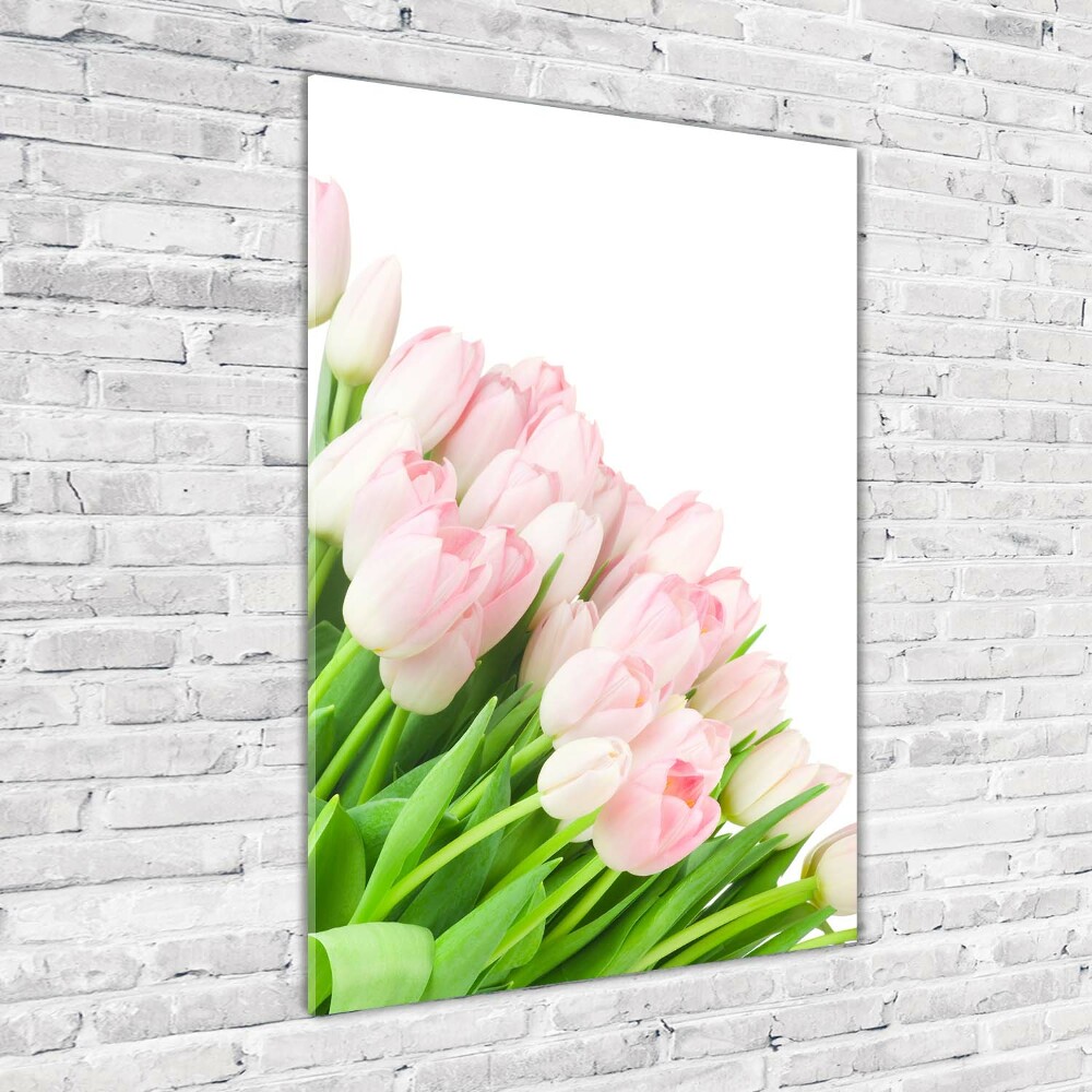 Tableau photo sur verre Tulipes roses