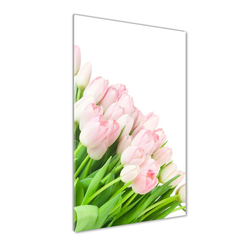 Tableau photo sur verre Tulipes roses