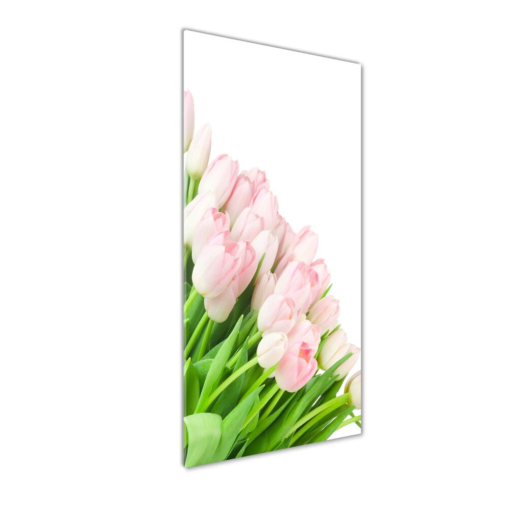 Tableau photo sur verre Tulipes roses