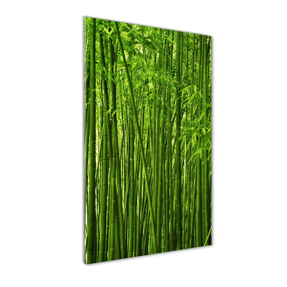 Tableau verre imprimé Forêt de bambous