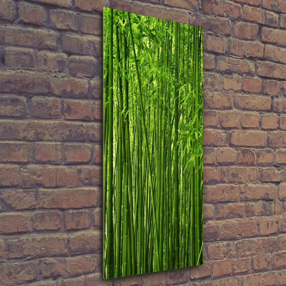 Tableau verre imprimé Forêt de bambous