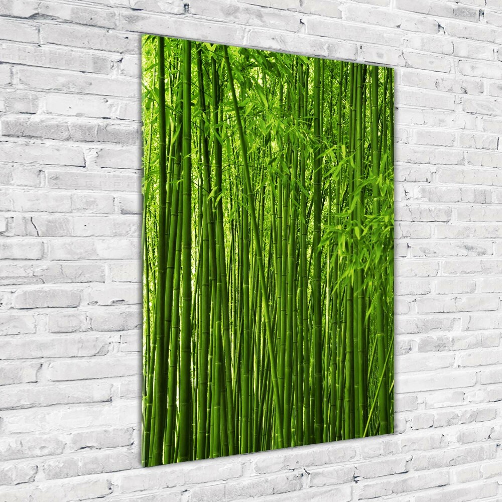 Tableau verre imprimé Forêt de bambous