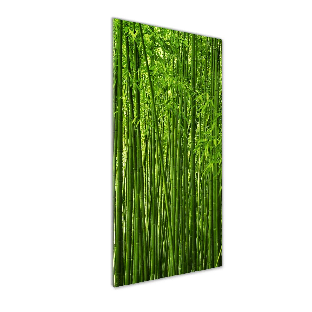 Tableau verre imprimé Forêt de bambous