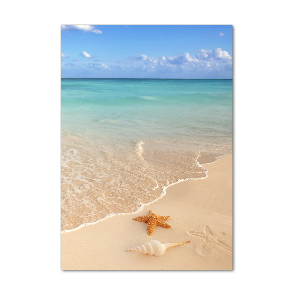 Tableau verre imprimé Étoile de mer sur la plage