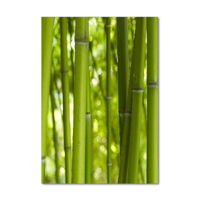 Tableau sur verre Forêt de bambous