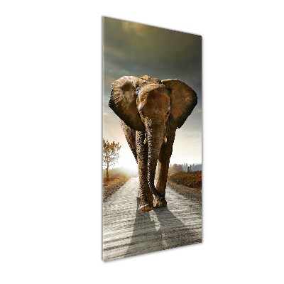 Tableau en verre Éléphant en marche