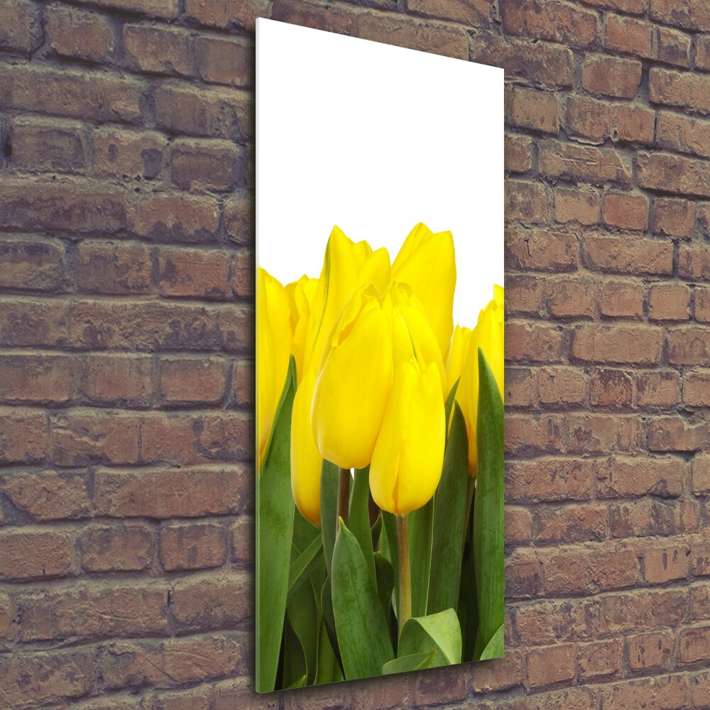 Tableau photo sur verre Tulipes jaunes