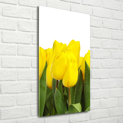 Tableau photo sur verre Tulipes jaunes