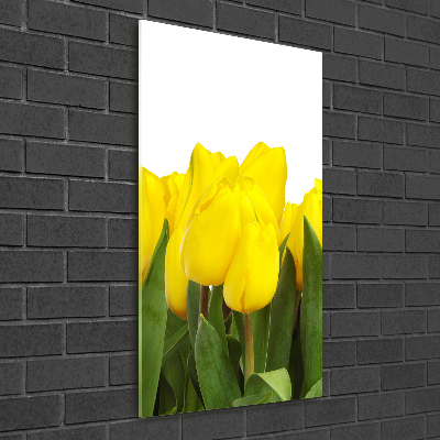 Tableau photo sur verre Tulipes jaunes