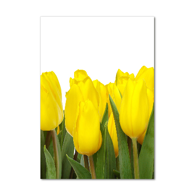 Tableau photo sur verre Tulipes jaunes