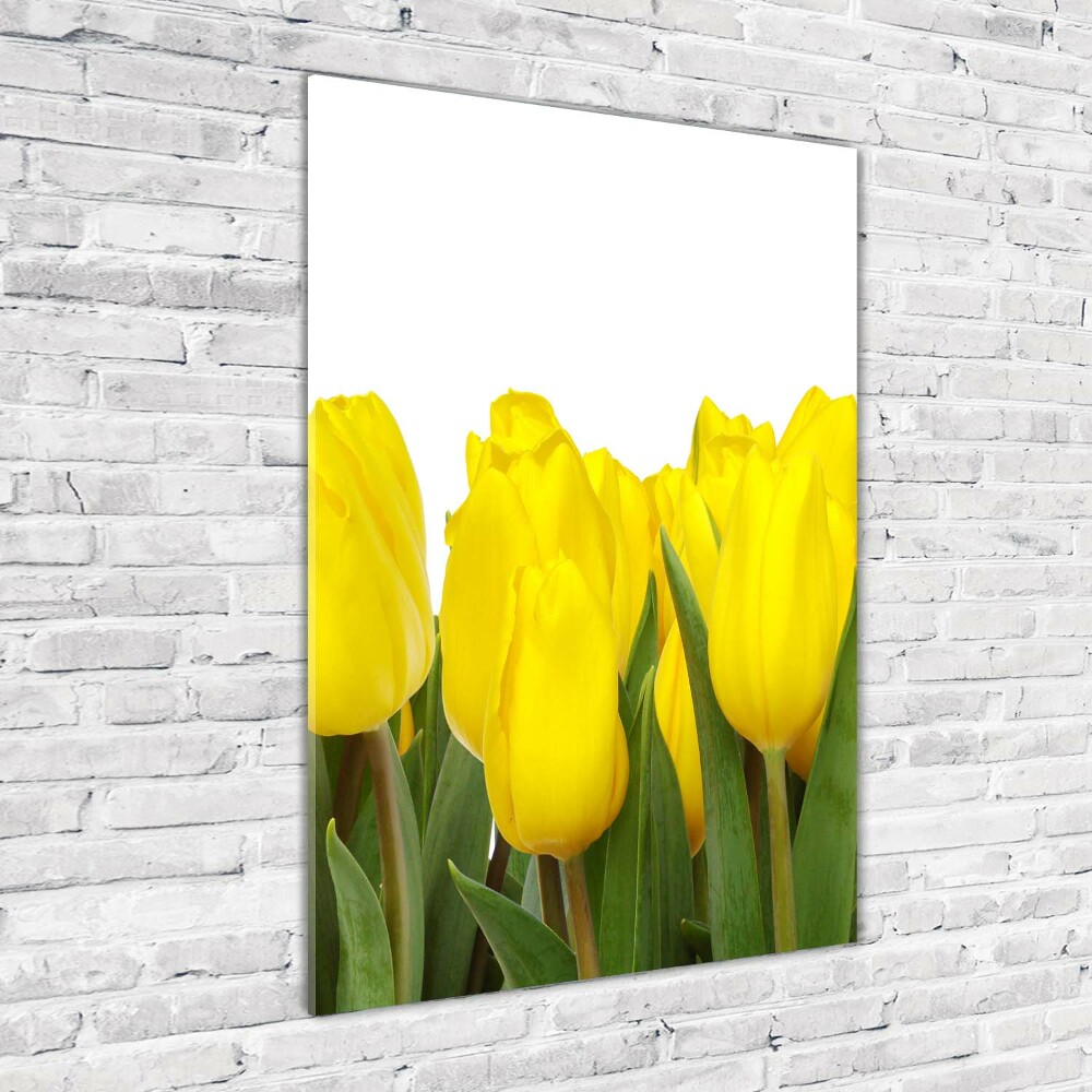 Tableau photo sur verre Tulipes jaunes