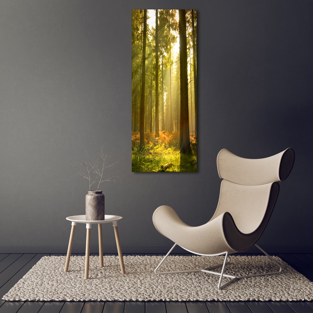 Tableau imprimé sur verre Belle forêt