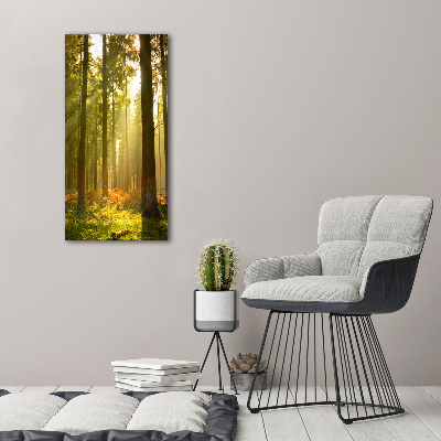 Tableau imprimé sur verre Belle forêt