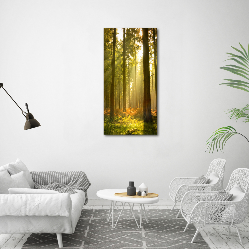 Tableau imprimé sur verre Belle forêt