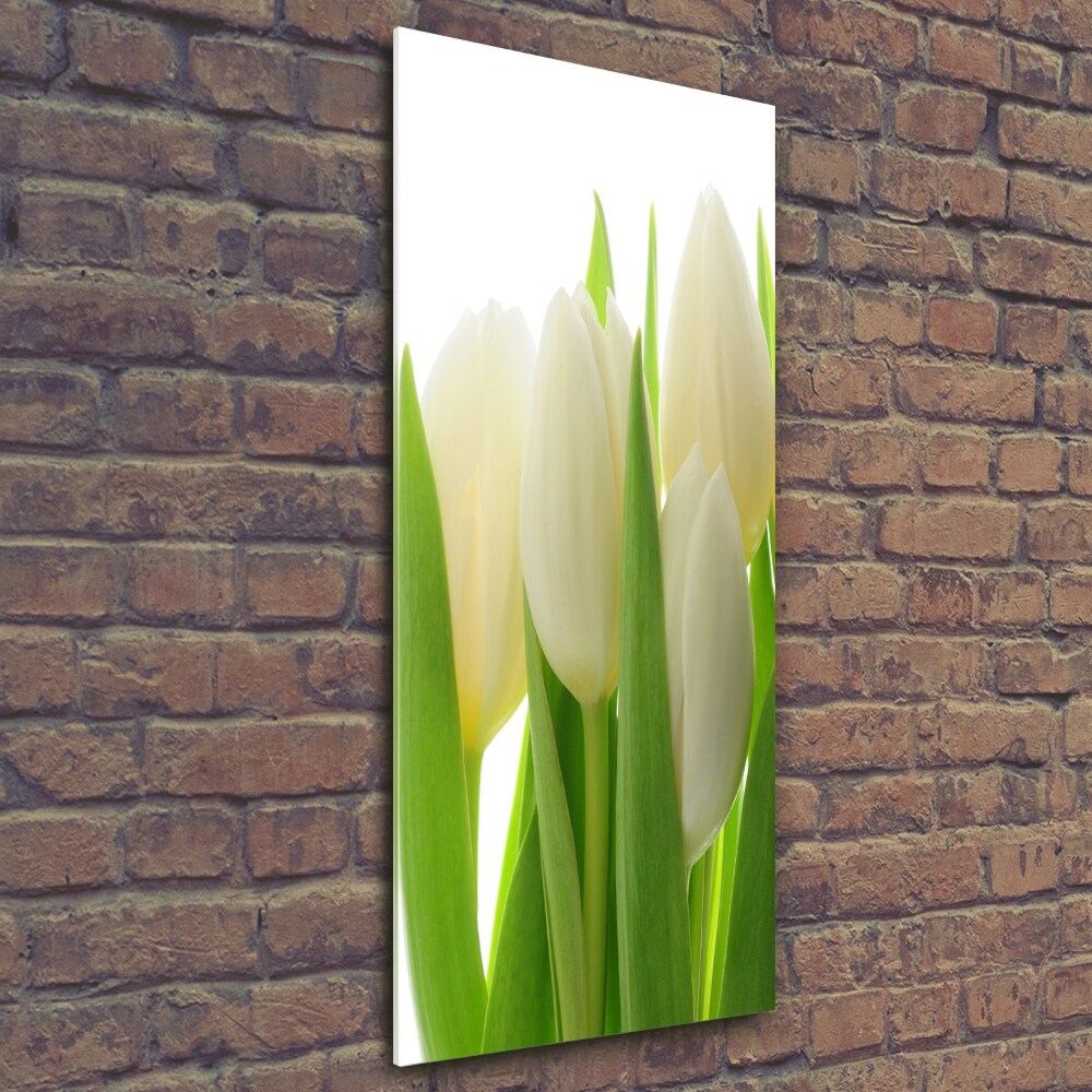 Tableau photo sur verre Tulipes blanches