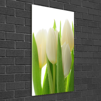 Tableau photo sur verre Tulipes blanches