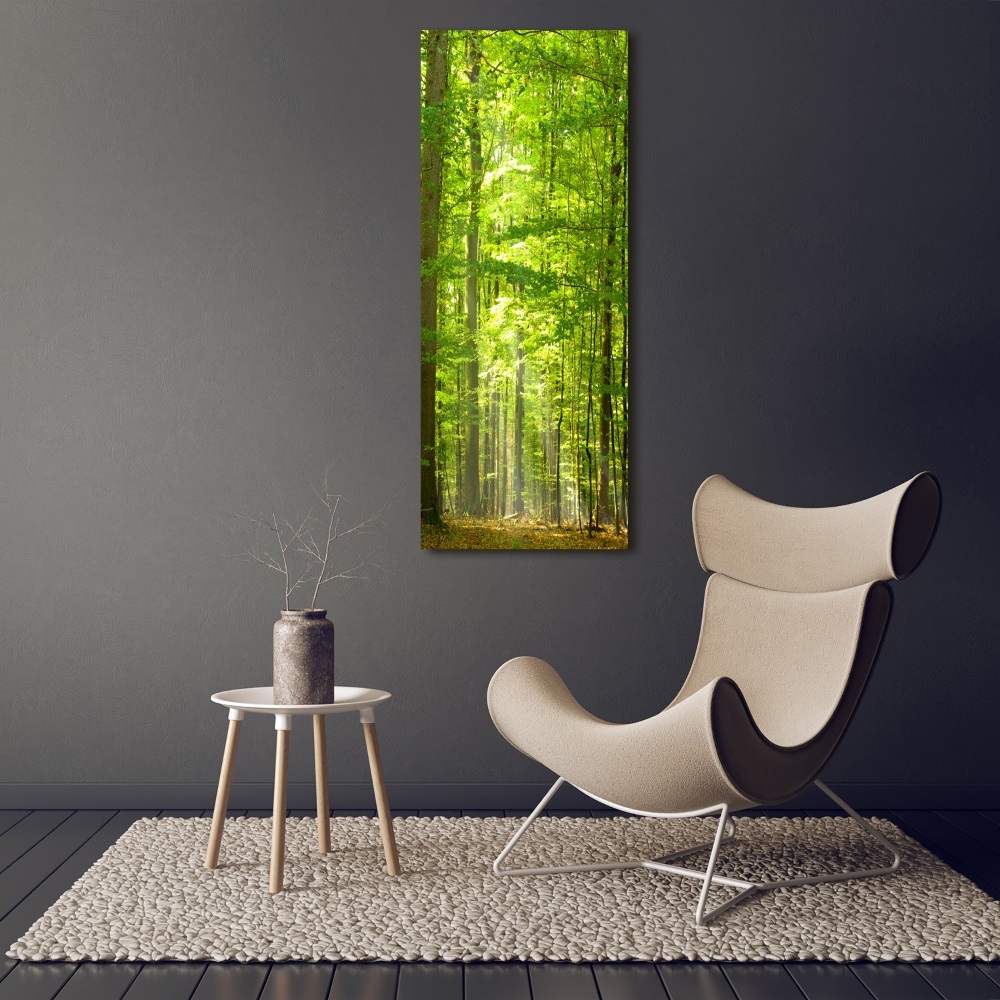 Tableau photo sur verre Forêt de hêtres