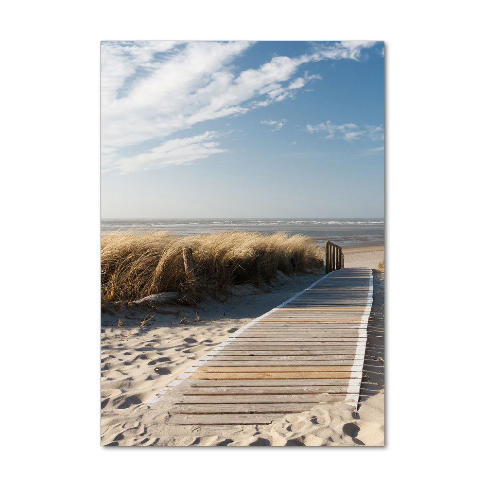 Tableau photo sur verre Chemin vers les plages