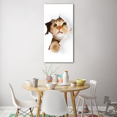 Tableau photo sur verre Chat