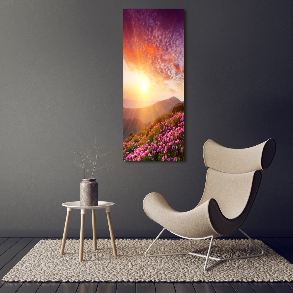 Tableau photo sur verre Printemps dans les montagnes