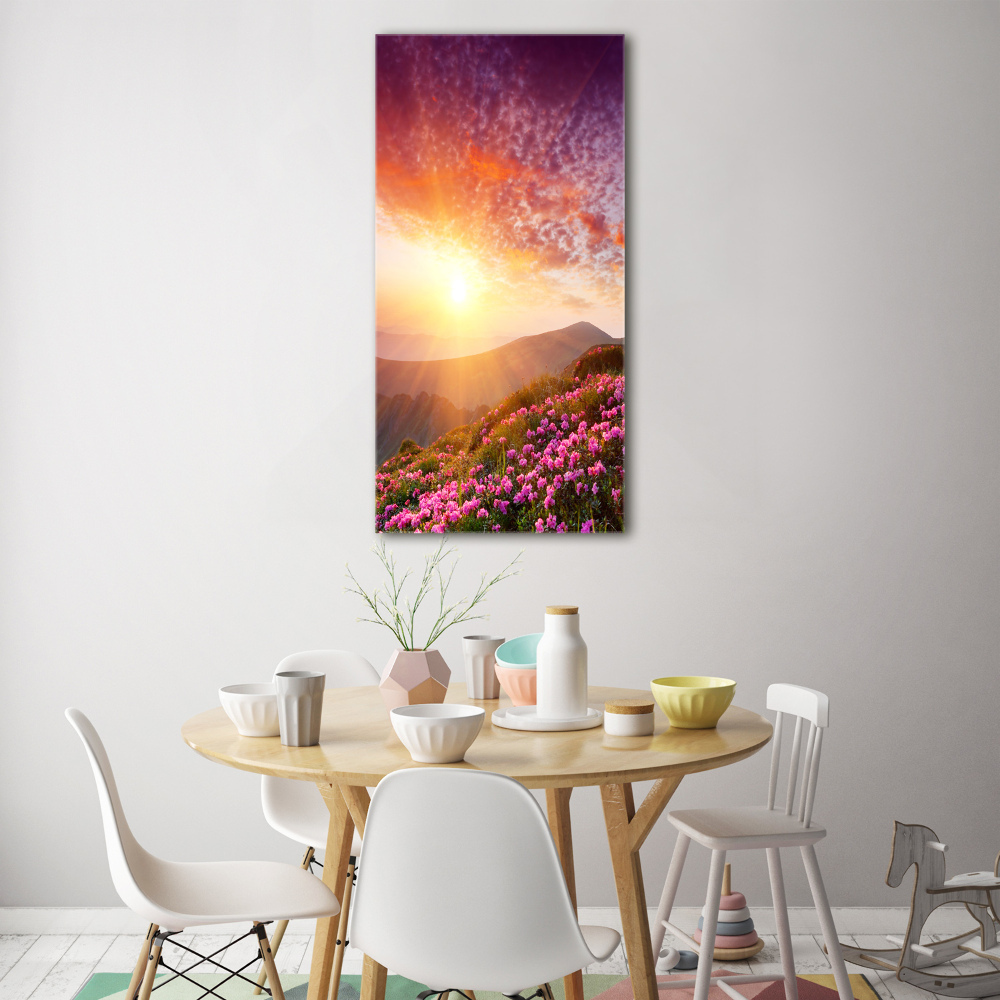 Tableau photo sur verre Printemps dans les montagnes