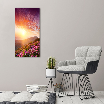 Tableau photo sur verre Printemps dans les montagnes