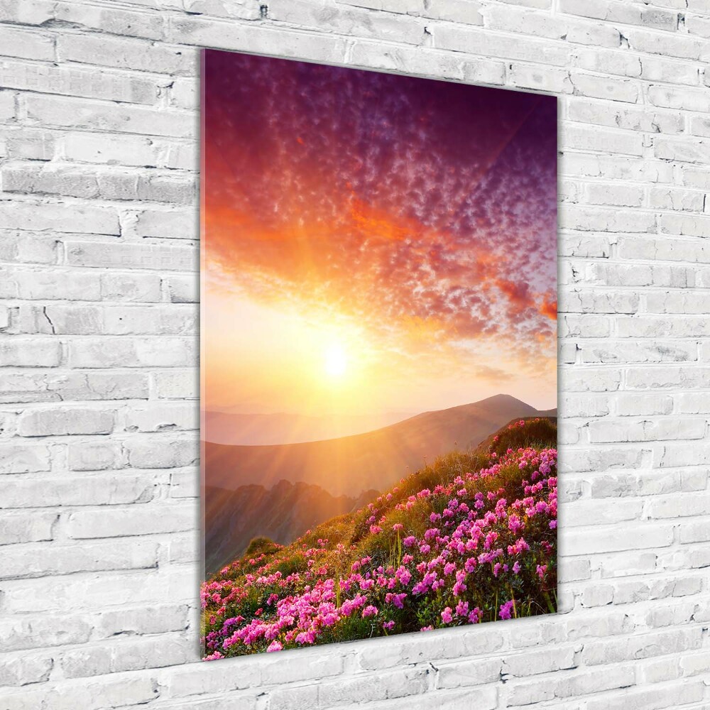 Tableau photo sur verre Printemps dans les montagnes