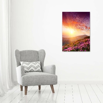 Tableau photo sur verre Printemps dans les montagnes