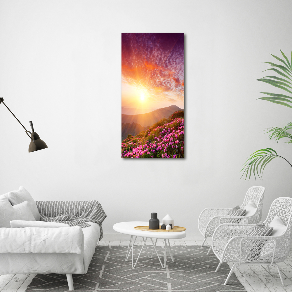 Tableau photo sur verre Printemps dans les montagnes