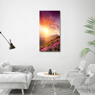 Tableau photo sur verre Printemps dans les montagnes