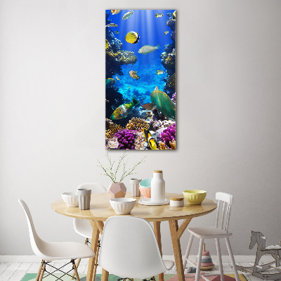 Tableau verre imprimé Récif de corail