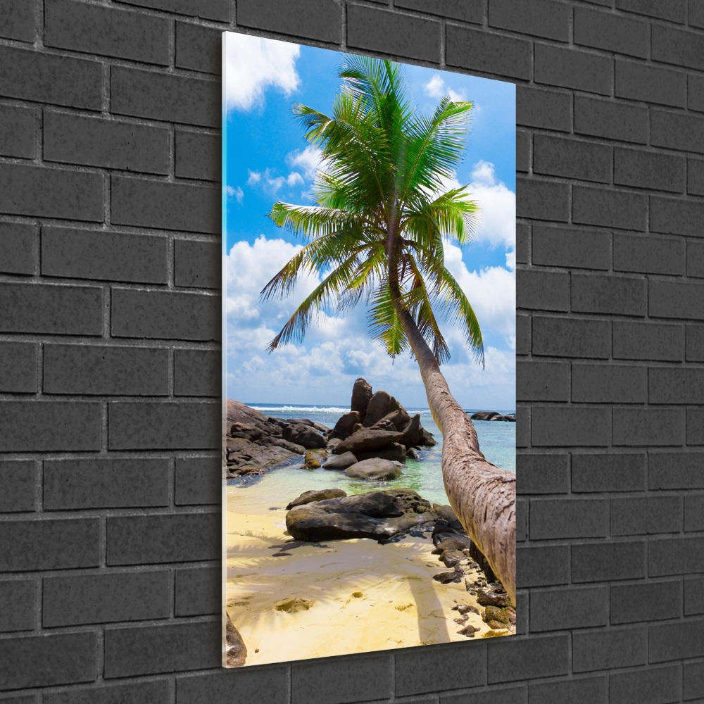 Tableau photo sur verre Plage exotique