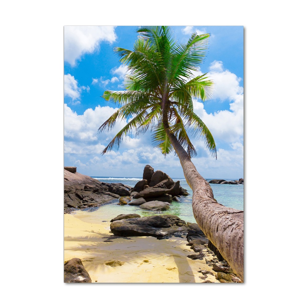 Tableau photo sur verre Plage exotique