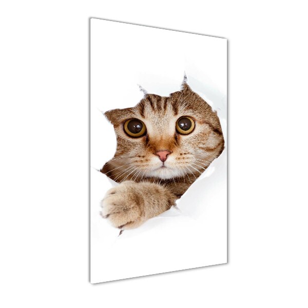 Chat