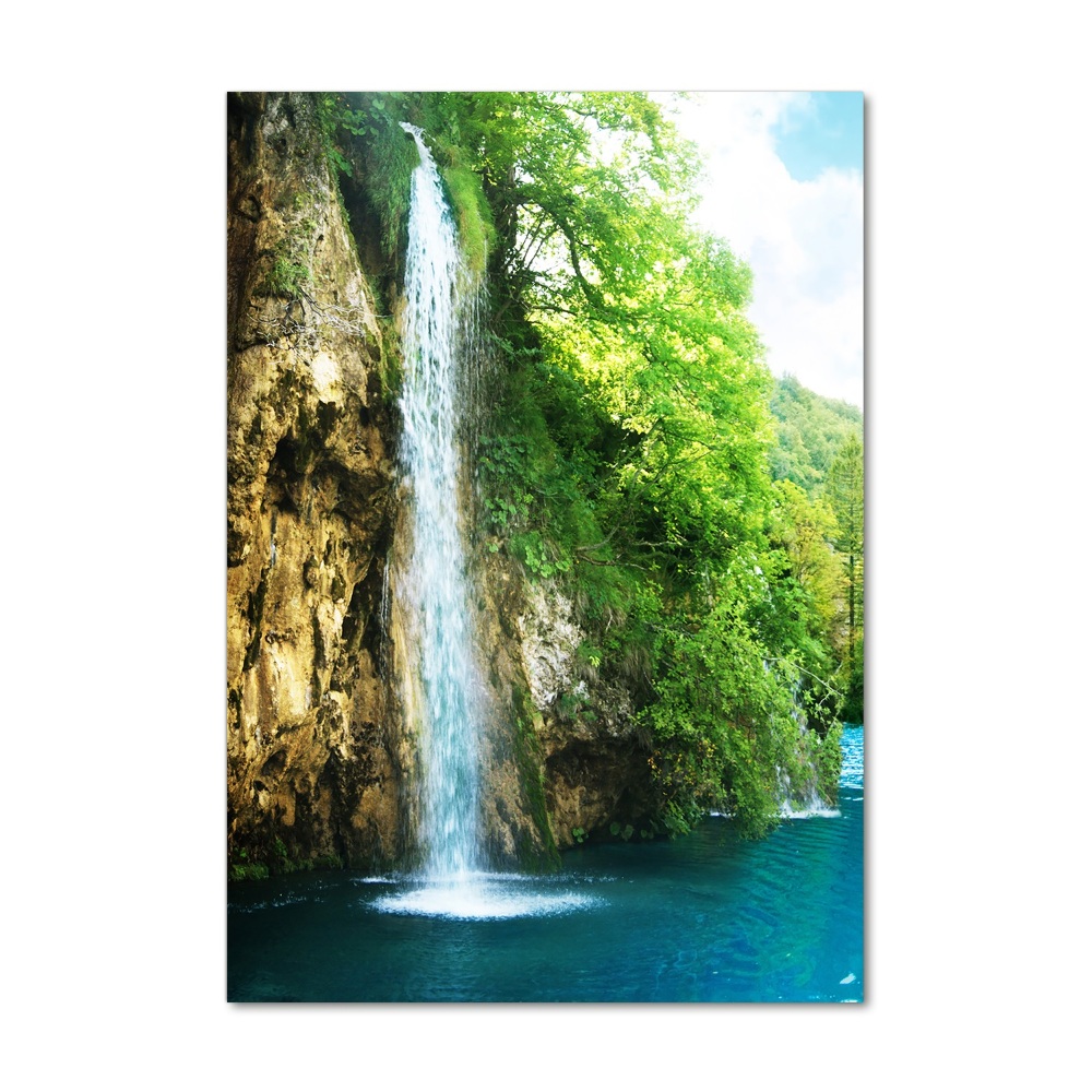 Tableau photo sur verre Cascade dans la forêt