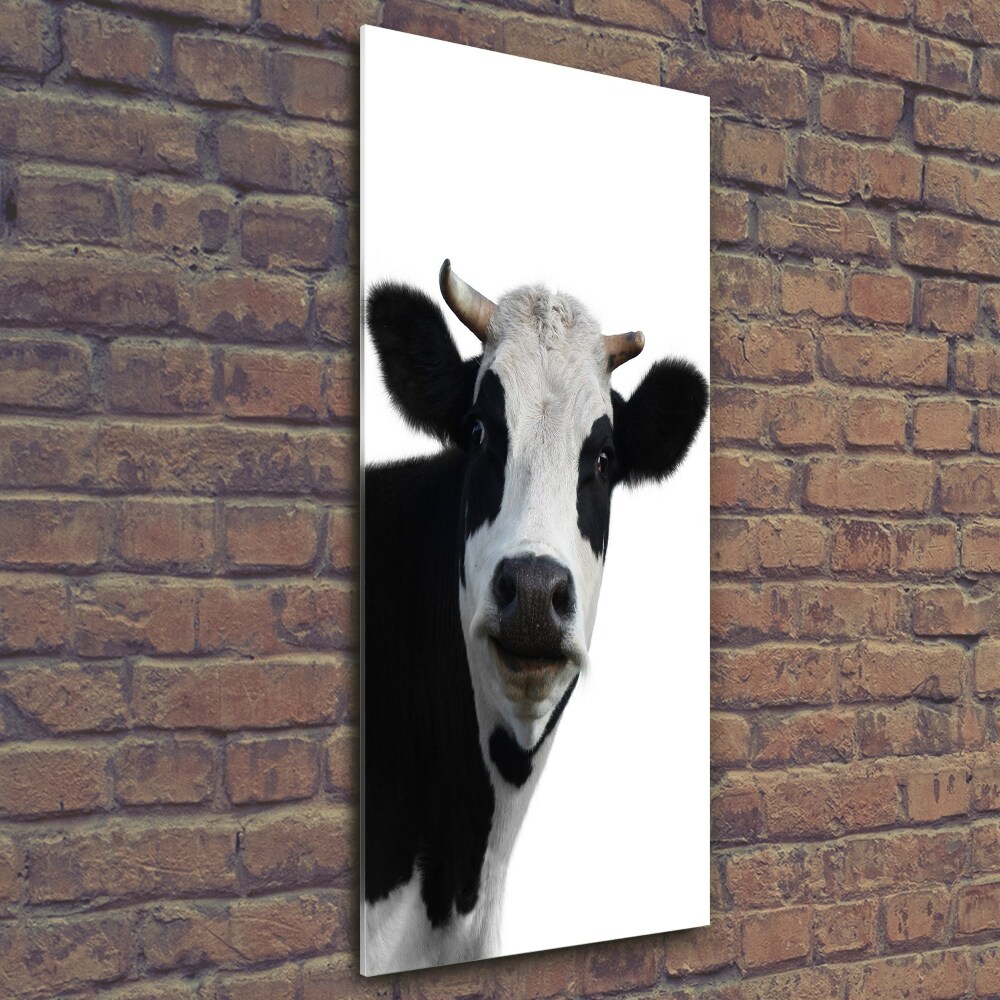 Tableau imprimé sur verre Vache latine