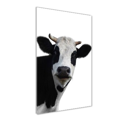 Tableau imprimé sur verre Vache latine