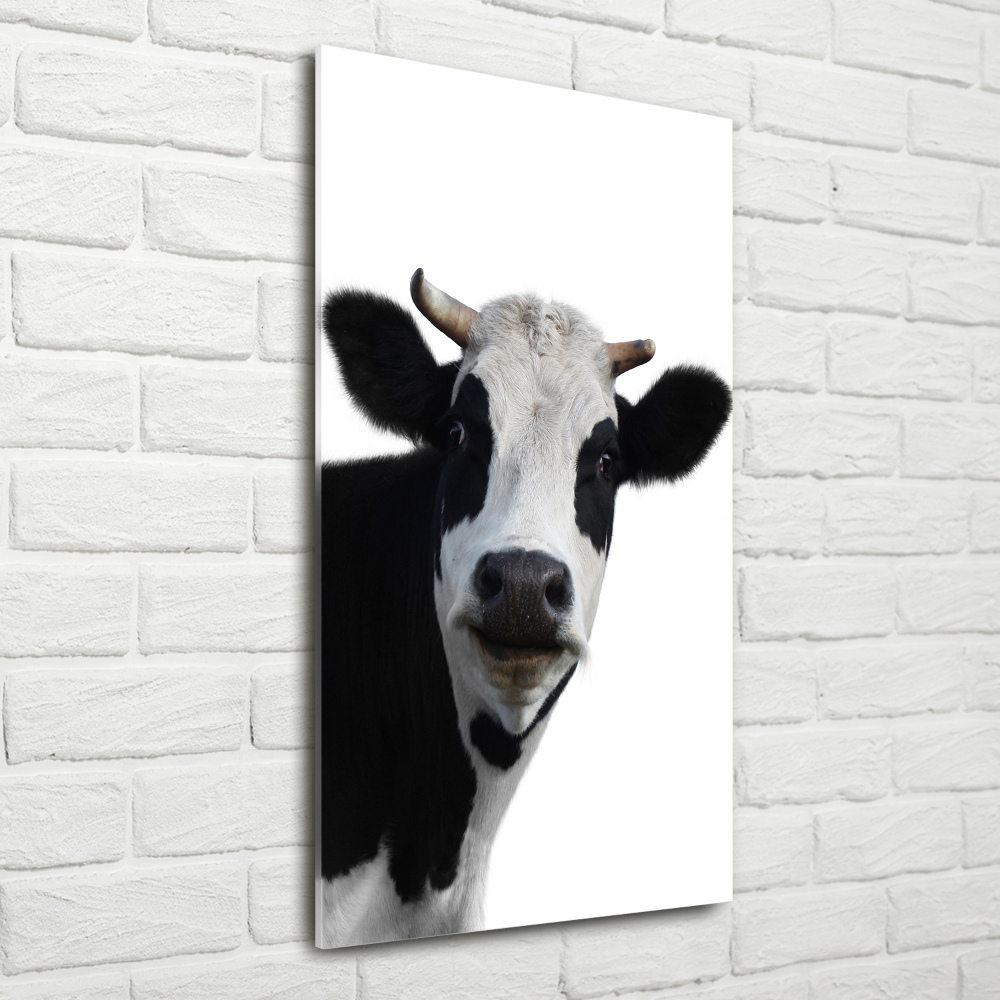 Tableau imprimé sur verre Vache latine