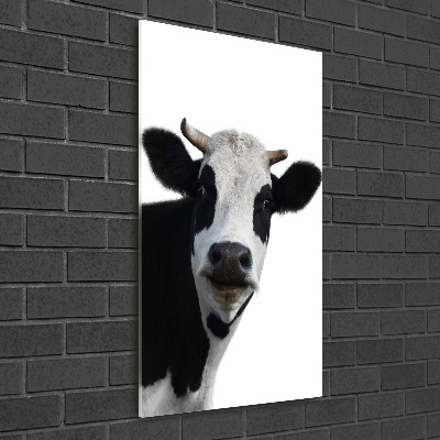 Tableau imprimé sur verre Vache latine