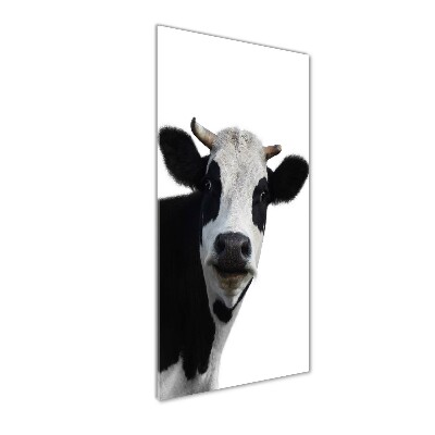 Tableau imprimé sur verre Vache latine