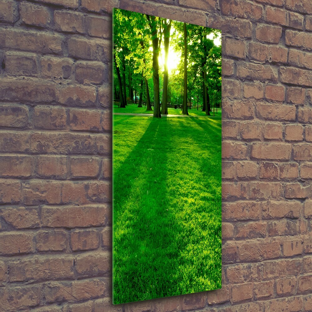 Tableau en verre Soleil dans un parc